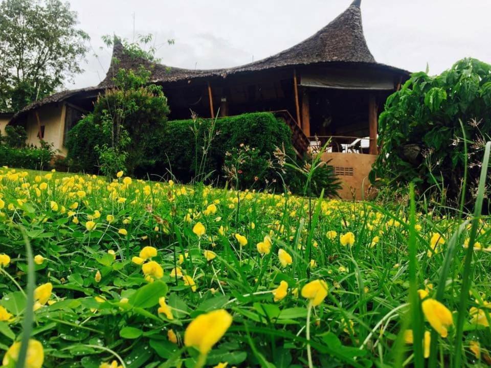 Mari Pai Resort Eksteriør billede